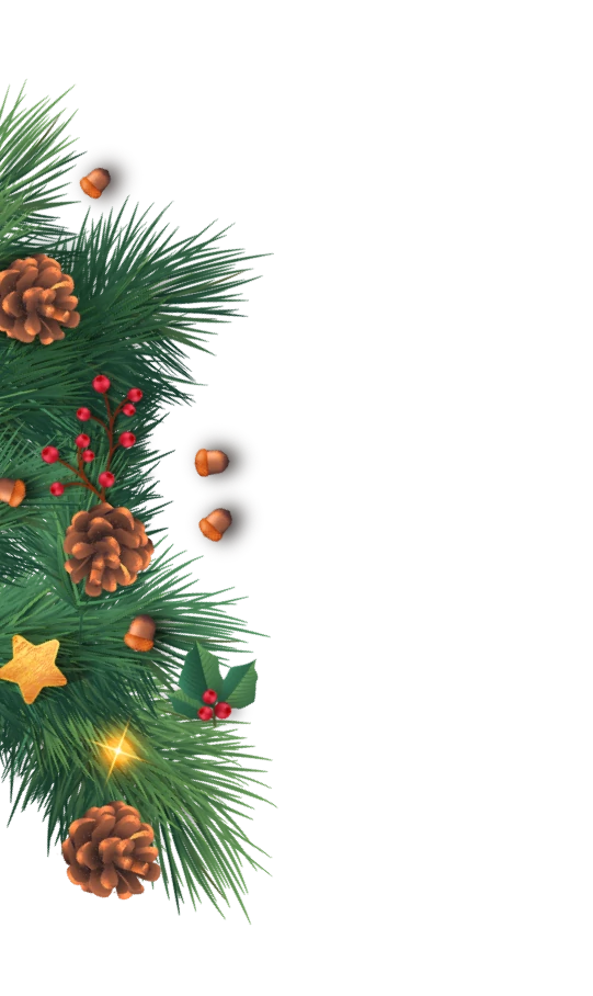 Ветки слева