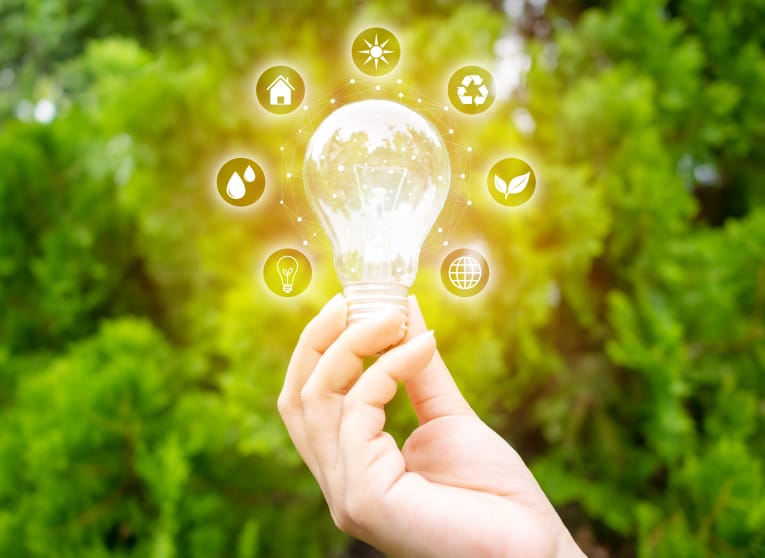 Женская рука держит святящуюся лампочку, вокруг которой изображены иконки, представляющие различные полезные эко-привычки.