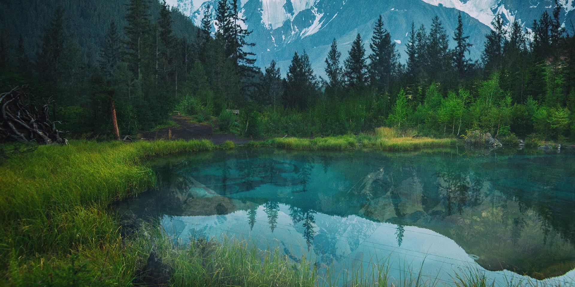 В центре фотографии находятся холмистые равнины с изумрудными елями. На заднем фоне возвышаются массивные горы.