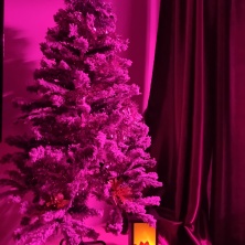 Фото участника (-цы): Елена