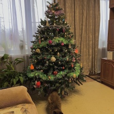 Фото участника (-цы): Екатерина