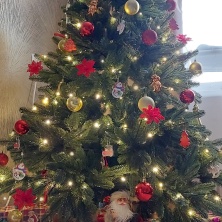 Фото участника (-цы): Яна