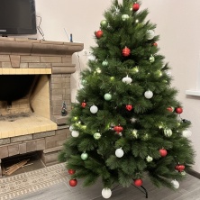 Фото участника (-цы): Ирина