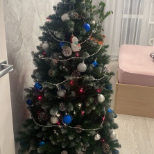 Фото участника (-цы): Мария