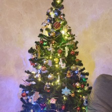 Фото участника (-цы): Анна