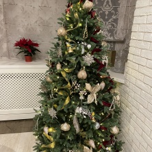 Фото участника (-цы): Наталья