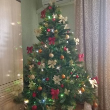 Фото участника (-цы): Диана