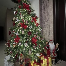 Фото участника (-цы): Анна