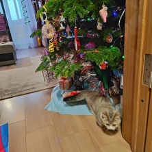 Фото участника (-цы): Виктория