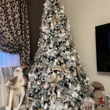 Фото участника (-цы): Ольга