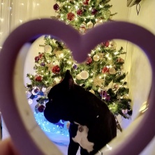 Фото участника (-цы): Елена