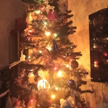 Фото участника (-цы): Юлия