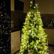 Фото участника (-цы): Артём