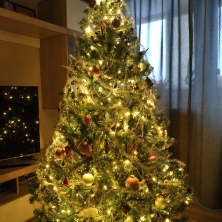 Фото участника (-цы): Анфиса