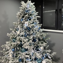 Фото участника (-цы): Марина