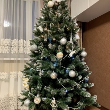 Фото участника (-цы): Игорь