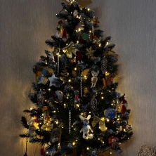 Фото участника (-цы): Сергей