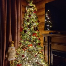 Фото участника (-цы): Анастасия