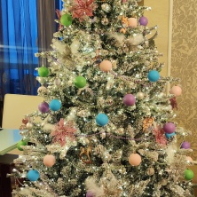 Фото участника (-цы): Инна