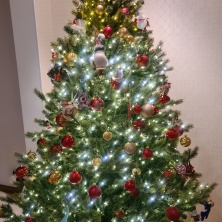 Фото участника (-цы): Оксана