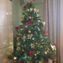 Фото участника (-цы): Елена