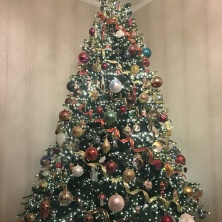 Фото участника (-цы): Дмитрий