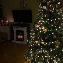 Фото участника (-цы): Полина