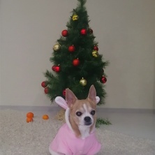 Фото участника (-цы): Кристина