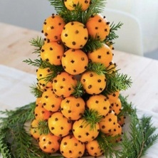 Фото участника (-цы): Марина