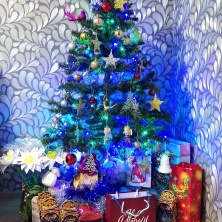 Фото участника (-цы): Юлия