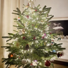 Фото участника (-цы): Мария