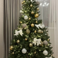 Фото участника (-цы): Роман