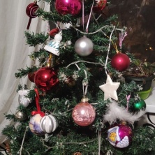 Фото участника (-цы): Владислав