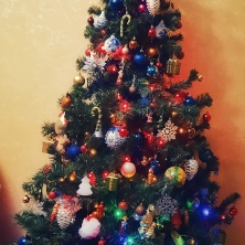 Фото участника (-цы): Елена