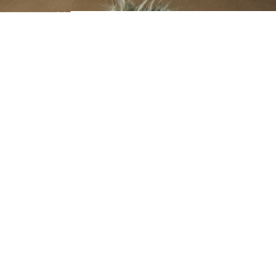 Обложка трека