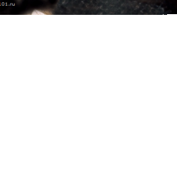 Обложка трека