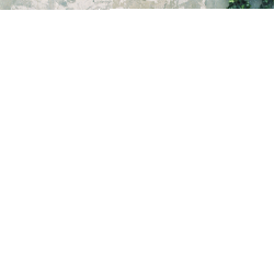 Обложка трека