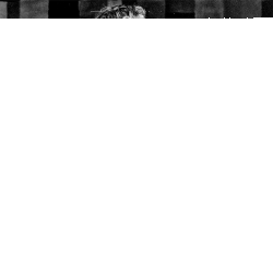 Обложка трека