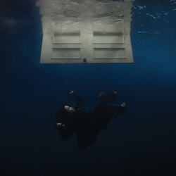 Обложка трека "Billie Eilish - BIRDS OF A FEATHER"