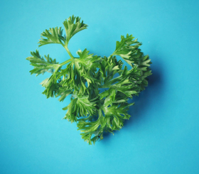 5 причин добавить петрушку в свой рацион