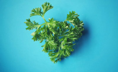 5 причин добавить петрушку в свой рацион