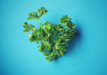 5 причин добавить петрушку в свой рацион