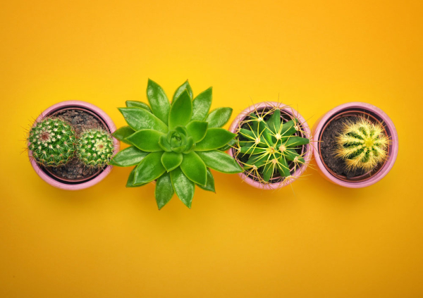  - Радио Romantika