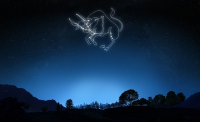 Лучшие черты характера Тельца