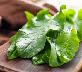 Веские причины добавить щавель в свой рацион