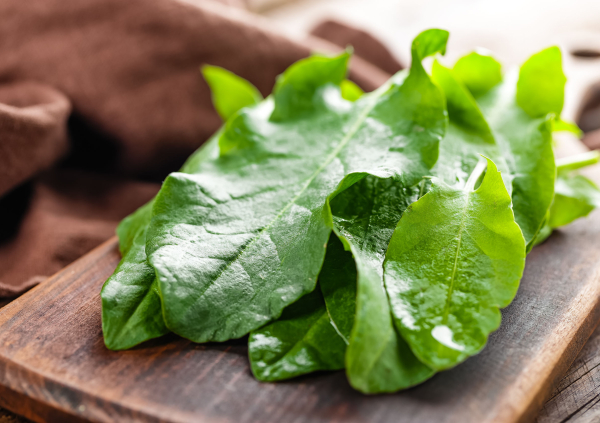  - Радио Romantika