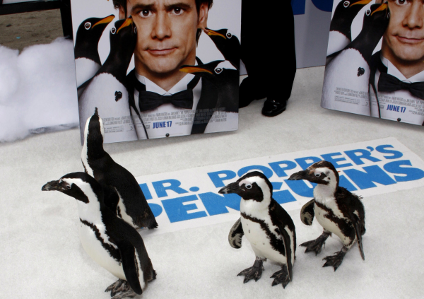 Кино - Радио Romantika