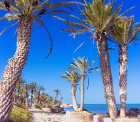 Путешествие по Тунису: Джерба