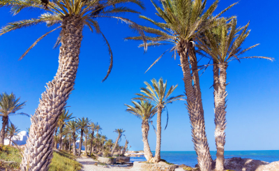 Путешествие по Тунису: Джерба