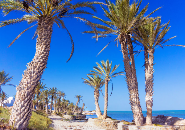 Путешествия - Радио Romantika